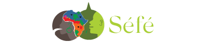 system logo